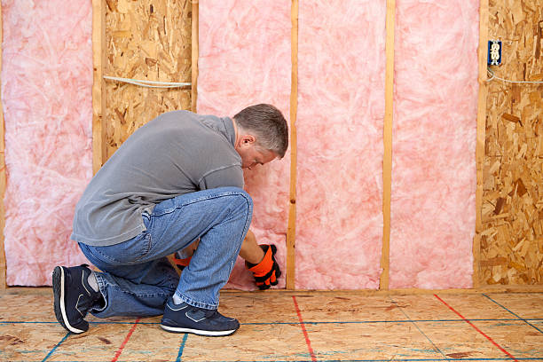 Best Insulation Maintenance and Repair in Naval Academy, MD