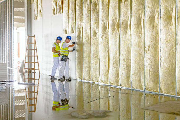 Best Commercial Insulation in Naval Academy, MD